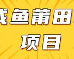 2024最新闲鱼暴利项目：日入500+实操教程大揭秘（附独家货源+引流秘籍）