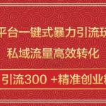 跨平台独家引流秘籍，一键操作猛增精准粉丝，日引流破300+，私域流量转化率飙升！