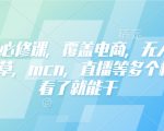 小红书运营秘籍大揭秘：电商盈利、无人直播、精准获客、高效种草、MCN打造、直播带货一站式掌握，速成高手！