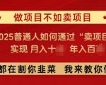 2025年揭秘：轻松月入过万，年入百万的秘诀——普通人如何靠卖项目赚翻天！