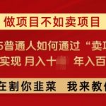 2025年揭秘：轻松月入过万，年入百万的秘诀——普通人如何靠卖项目赚翻天！