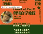轻松掌握剪辑技巧！零基础快速变身剪辑高手，同步实操练习，高效提升你的影视制作思维！