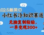 2025年爆赚秘诀：揭秘小红书冷知识赛道，复制粘贴就能日入300+，轻松开启财富大门！