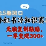 2025年爆赚秘诀：揭秘小红书冷知识赛道，复制粘贴就能日入300+，轻松开启财富大门！