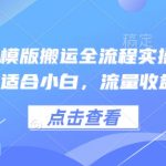 流量暴增秘籍！小白也能轻松掌握的小说推文卡模板搬运全流程实操教程，收益翻倍不是梦！