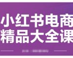 小红书电商实战秘籍：快速精通运营策略，精准引流+爆单攻略，轻松成为电商高手！