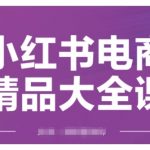 小红书电商实战秘籍：快速精通运营策略，精准引流轻松爆单，月入过万不是梦（最新2月课程更新）
