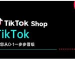 TikTok电商小白逆袭攻略：从0到1快速晋级，揭秘抖音带货新玩法，抢占商业蓝海！