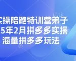 【2025最新版】拼多多运营特训营：7天爆单秘籍+日销10万+玩法实战，从0到1掌握平台流量密码！点击抢限时名额！689