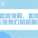 爆红秘籍！网剧精准涨粉10大技巧（7天暴涨10万粉实战案例）14513