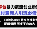 24小时狂薅500+创业粉！零基础暴力引流黑科技，知识付费躺赚秘籍（多平台通用）15611