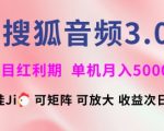 搜狐音频挂机3.0全新升级！矩阵操作+全自动躺赚秘籍，红利期月入8000+【技术大揭秘】