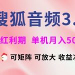 搜狐音频挂机3.0全新升级！矩阵操作+全自动躺赚秘籍，红利期月入8000+【技术大揭秘】