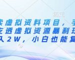 惊爆！闲鱼虚拟资料日赚1000+秘籍：手把手教会小白复制暴利玩法（月入5W实操）178