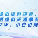 惊爆！闲鱼虚拟资料日赚1000+秘籍：手把手教会小白复制暴利玩法（月入5W实操）178