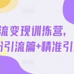 爆红引流变现训练营：3天掌握泛粉裂变+精准变现核心技巧，手把手带你从0到1搭建流量系统
