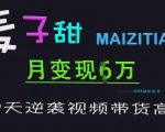 2024最新！麦子甜7步视频带货秘籍：单日爆单10万+的变现捷径曝光158