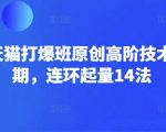 2024淘宝天猫爆款秘术大揭秘！14天连环起量法打造千万级爆款（第66期必学）