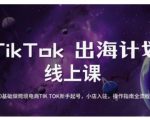 7天爆单秘籍！TikTok跨境电商新手如何从0到百万流量？（附小店入驻+运营全流程）1257