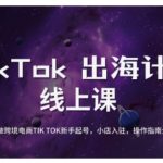 7天爆单秘籍！TikTok跨境电商新手如何从0到百万流量？（附小店入驻+运营全流程）1257