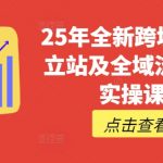 2024独立站+TikTok全域引流终极指南：10大爆单秘诀揭秘（从0到1日销百万）126