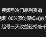 惊爆！视频号蓝海赛道原创教程大揭秘：3天起号日入3000+（新手零门槛）