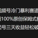 惊爆！视频号蓝海赛道原创教程大揭秘：3天起号日入3000+（新手零门槛）