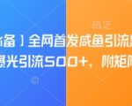 咸鱼引流黑科技单日狂吸1000+精准粉|独家首发附矩阵秘籍|零门槛暴增曝光