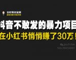 小红书零成本暴利项目！30W+收益背后被平台严控的5大操作秘籍