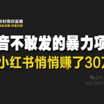 小红书零成本暴利项目！30W+收益背后被平台严控的5大操作秘籍