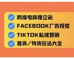 跨境电商独立站爆款秘籍：10天精通全域流量裂变！2025最新运营攻略+免费工具