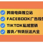 跨境电商独立站爆款秘籍：10天精通全域流量裂变！2025最新运营攻略+免费工具