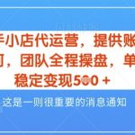 【揭秘】2025快手小店代运营3.0新玩法：0门槛躺赚日入800+，收益五五分成稳如磐石51213