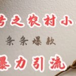 惊爆！农村小项目月入10万秘籍：DeepSeek爆款引流5大绝招，速看！211