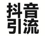 2025抖音截流秘籍！无限私信+爆粉话术，单日狂吸500+创业粉（附独家教程）269