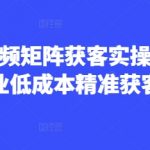 【7天引爆流量】AI短视频矩阵3步霸屏秘籍：企业0成本精准获客实战指南16911