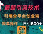 2025年最新创业粉引流秘籍！全平台流量密码，轻松日引500+精准粉（附详细教程）15121519