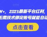 2025最火流量风口！3步操作日入5000+ SEO优化躺赚模式 无门槛零基础绑定账号自动收米1310