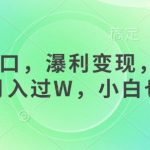 2024女性创业新风口！每天1小时轻松日入5000+，0门槛变现秘籍大公开！