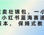 小红书蓝海赛道3.0：SEO优化秘籍！3小时狂卖壮锦包日入过千，手把手教你精准引流私域变现（保姆级教程）4135