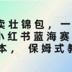 小红书蓝海赛道3.0：SEO优化秘籍！3小时狂卖壮锦包日入过千，手把手教你精准引流私域变现（保姆级教程）4135