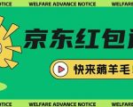 京东拉新零成本暴利项目！日入300+最全攻略，手把手教学小白轻松上手15912