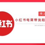 2025小红书虚拟电商暴利玩法！零成本AI爆单秘籍，3天躺赚2w+（附新手变现攻略）14913
