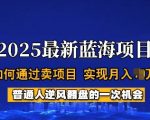 2025蓝海暴利项目！独家揭秘零门槛副业月入10W+底层逻辑拆解（新手必看）