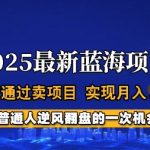 2025蓝海暴利项目！独家揭秘零门槛副业月入10W+底层逻辑拆解（新手必看）