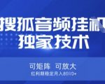搜狐音频红利项目：零门槛矩阵循环收益，月入2W+躺赚秘诀大公开（可放大操作）