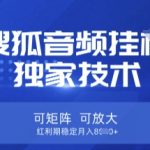 搜狐音频红利项目：零门槛矩阵循环收益，月入2W+躺赚秘诀大公开（可放大操作）