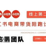 小红书电商爆单秘籍：零货源+虚拟产品日入过万，付费投流+SEO优化保姆级教程815