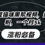 AI猫咪黑帮视频爆款秘籍！30秒涨粉5万+，零门槛小白3天狂揽5万粉！61011
