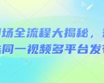 河马剧场爆款短剧全流程揭秘：3天破百万播放的实操技巧（限时分享）